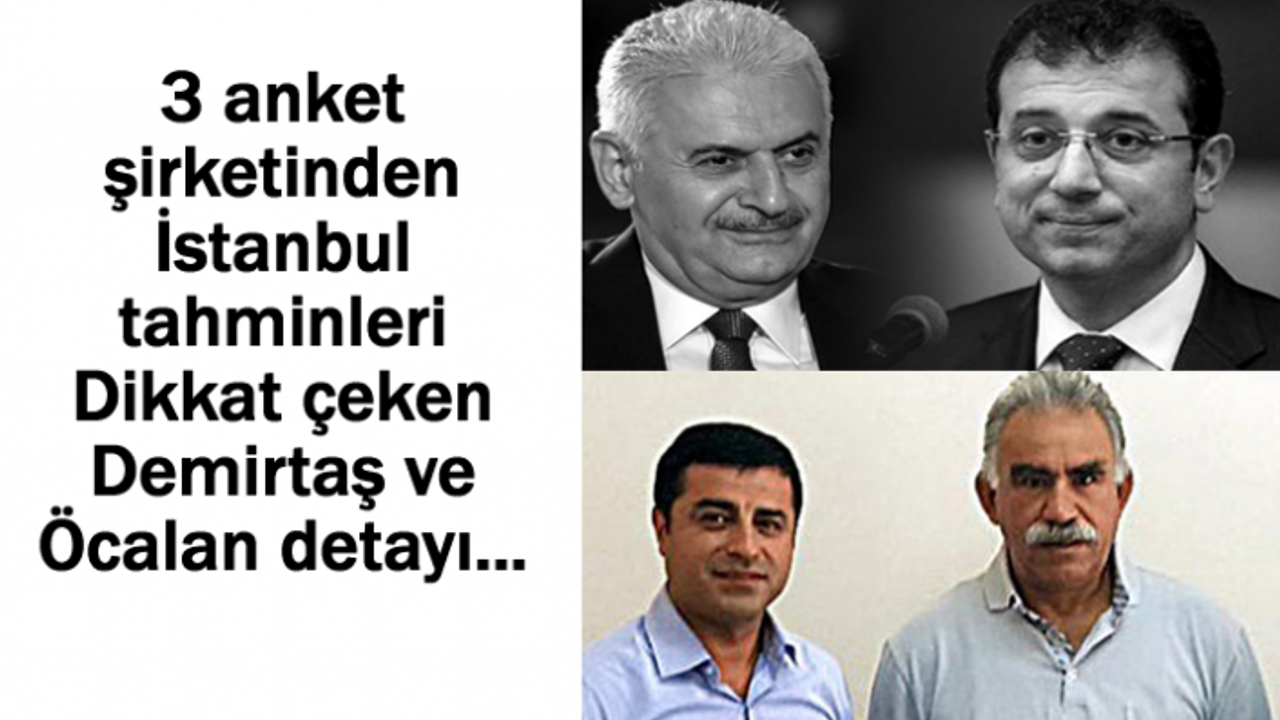 3 Ankette Dikkat Çeken Demirtaş ve Öcalan Detayı