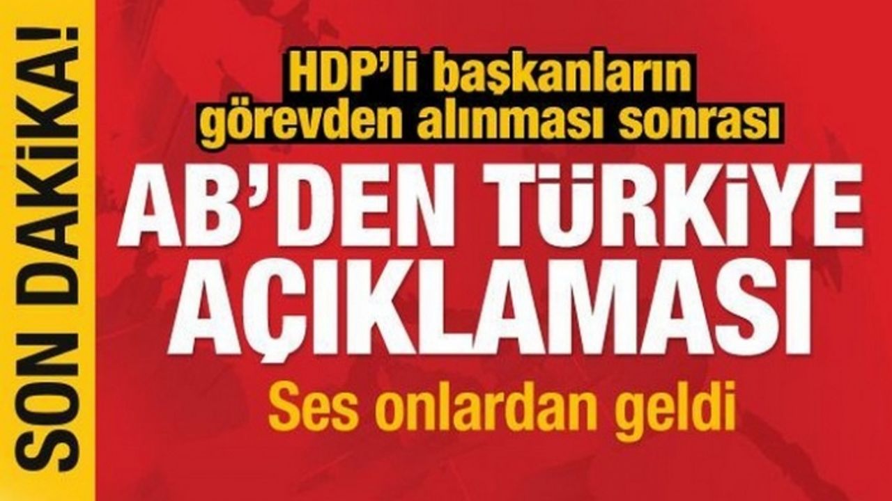AB'den Kayyum ve Türkiye açıklaması