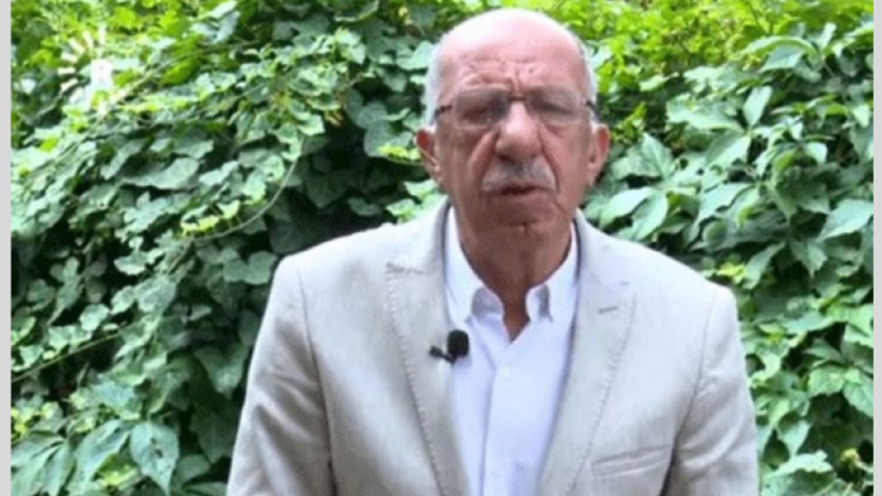 HDP'li Diyadin Fırat'tan 'Meclisten çekilin' çağrısı