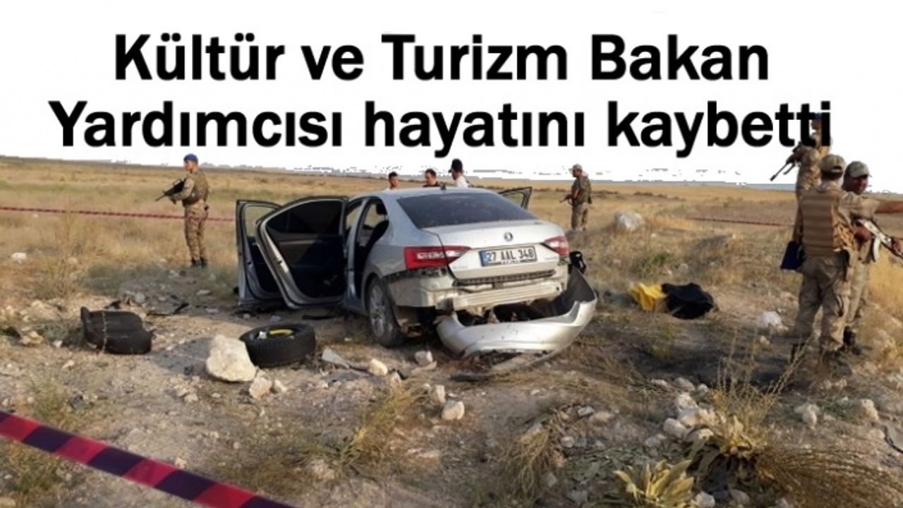 Van'da Kaza: Bakan Yardımcısı hayatını kaybetti
