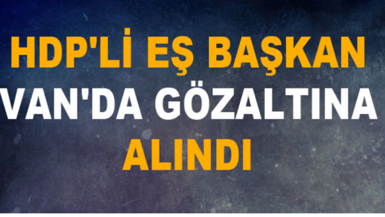 HDP'li Belediye Eş Başkanı Gözaltına Alındı