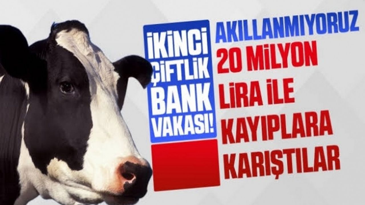 İkinci Çiftlik Bank Vakası! 20 Milyon...