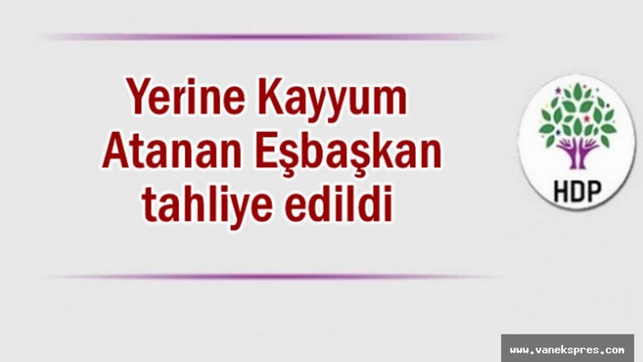 Yerine kayyum atanan eş başkan tahliye edildi