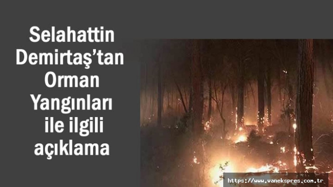 Selahattin Demirtaş’tan Orman Yangınlarıyla ilgili paylaşım