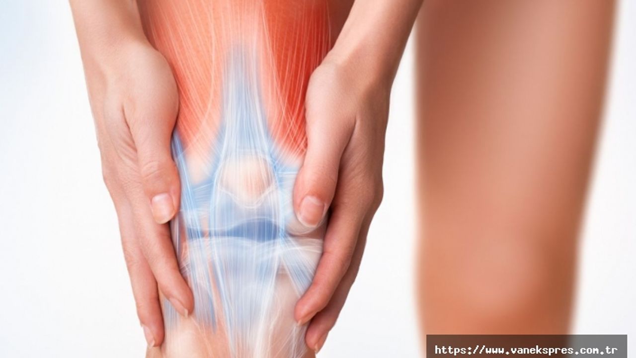 Eklem ve Tendon Problemlerinde Yeni Çözüm: Akıllı Plazma Tedavisi