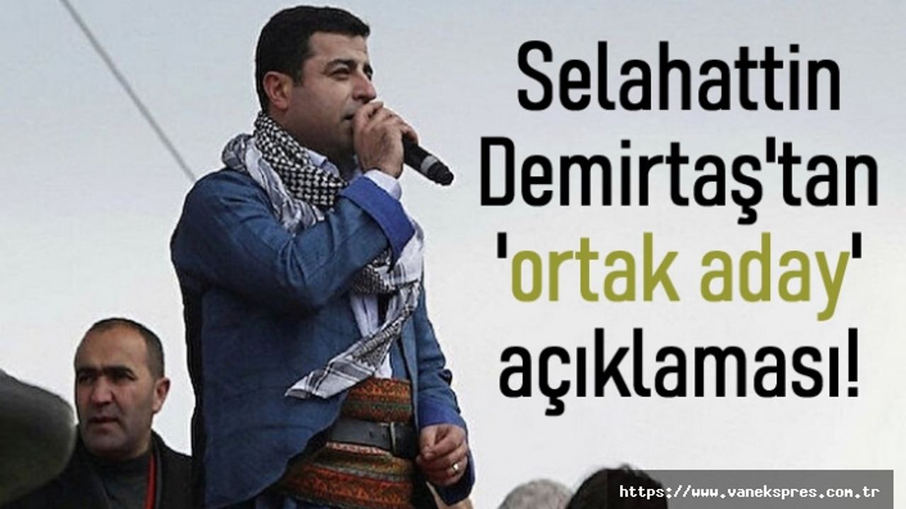 Selahattin Demirtaş'tan 'ortak aday' açıklaması!
