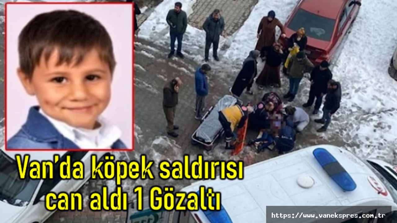 Van’da köpek saldırısı can aldı 1 Gözaltı