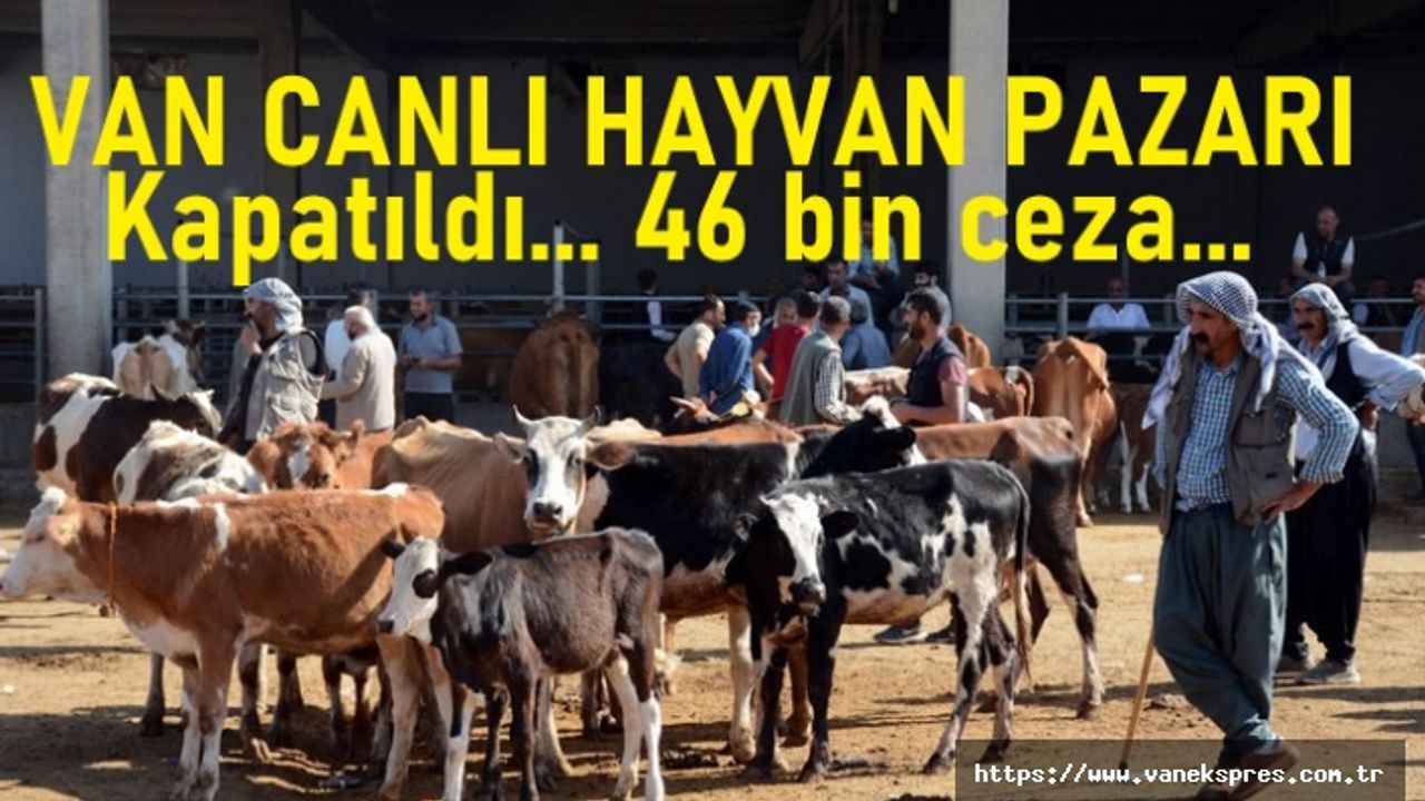 Van hayvan pazarı kapatıldı! Uymayanlara 46 bin ceza