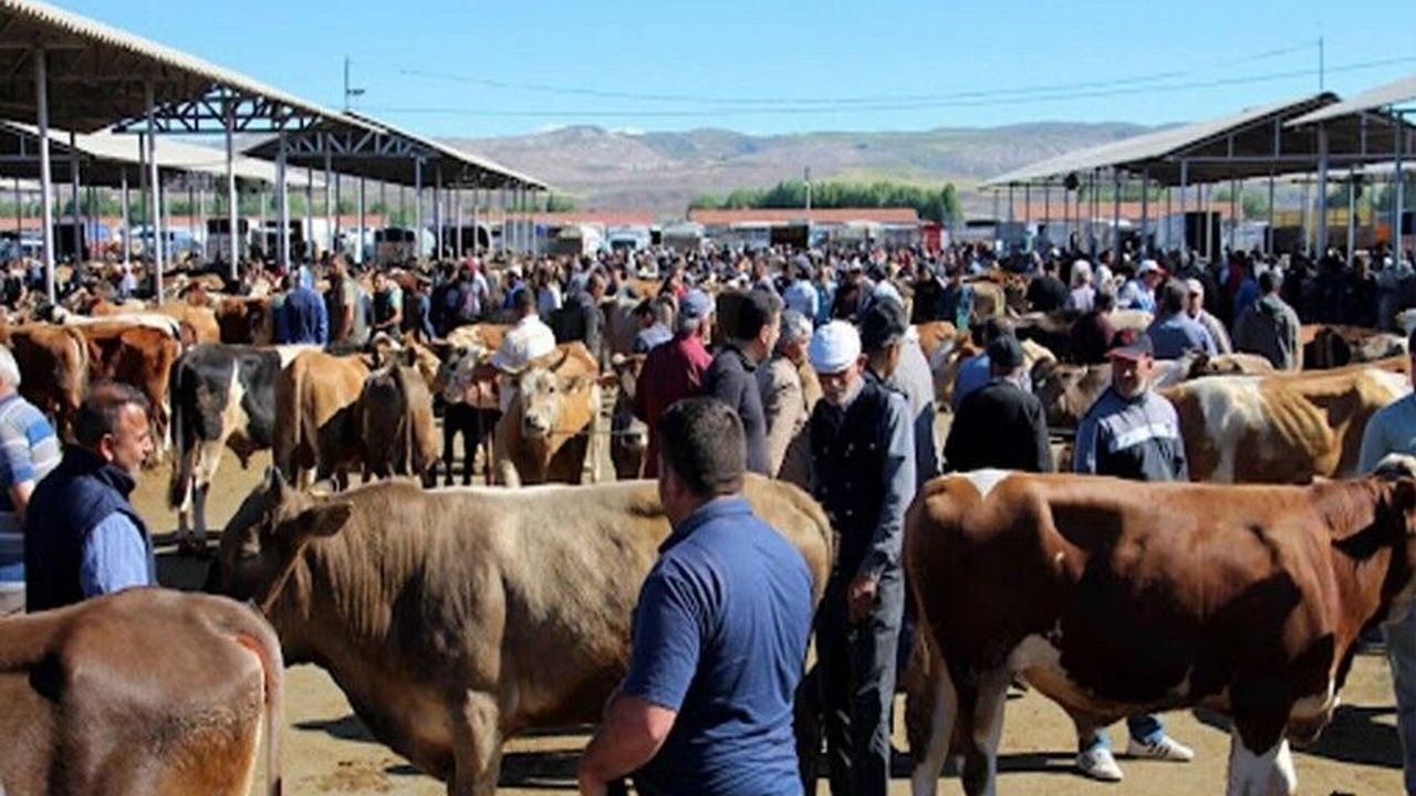 Van’da Kurban Kesim ve Satış Noktaları Açıklandı