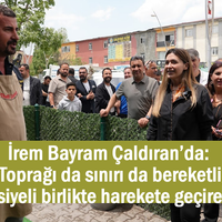 EKONOMİ