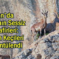 GÜNDEM