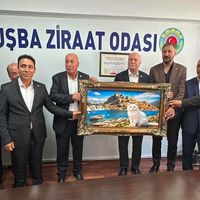 EKONOMİ