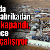 EKONOMİ