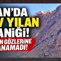 GÜNDEM