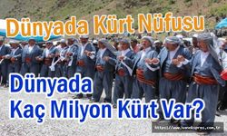 Dünyadaki Kürt Nüfusu: 70 Milyon