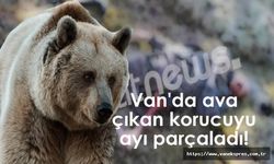Van'da ava çıkan korucuyu ayı parçaladı!