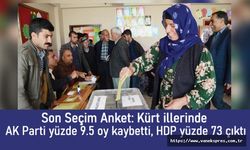 Anket: Kürt illerinde AK Parti yüzde 9.5 oy kaybetti, HDP yüzde 73 çıktı