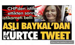 Aslı Baykal’dan Kürtçe tweet: Her Kürdün en az benim kadar..