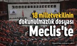 Van dahil 18 vekilin dokunulmazlık dosyaları mecliste
