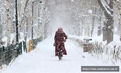 Meteorolojiden Van için flaş uyarı! O günlere dikkat