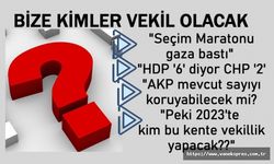 Bize Kimler Vekil Olacak?