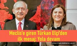 Milletvekili seçilen Türkan Elçi'den ilk mesaj: Yola devam