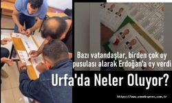 Şanlıurfa'da neler oluyor? birden çok oy pusulası alarak Erdoğan'a ...