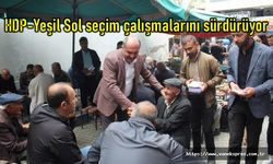 Yeşil Sol Parti Van'da ikinci tur seçim çalışmalarını sürdürüyor