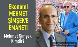 Ekonomi Mehmet Şimşek'e emanet! Mehmet Şimşek Kimdir?