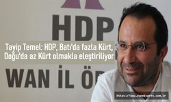 HDP'li Temel: Batı'da fazla Kürt, Doğu'da az Kürt olmakla eleştiriliyor