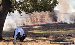HDP: Cûdî’deki yangına müdahale edilmesine izin verilmiyor