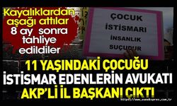11 yaşındaki çocuğu istismar edenlerin avukatı AKP’li il başkanı çıktı.