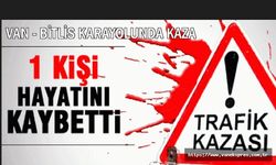 Van-Bitlis Karayolunda Kaza: Ölü ve Yaralılar Var