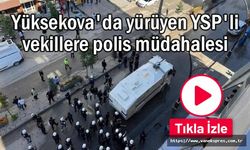 Yüksekova'da Van Milletvekillerinin olduğu kitleye polis müdahale etti