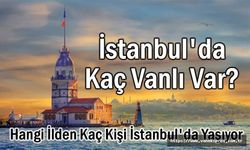 İstanbul'da en çok nereli var? Kaç Vanlı Yaşıyor?