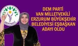 Van Milletvekili Gülderen Varlı Erzurum BB Eşbaşkan Adayı Oldu