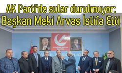 Van AK Parti'de sular durulmuyor: Belediye başkanı istifa etti