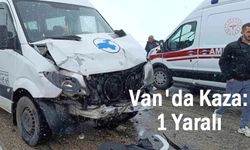 Van-Hakkari karayolunda kaza: 1 Yaralı