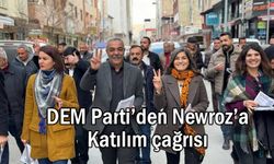 DEM Parti’den Newroz’a çağrı: Newroz ateşini birlikte yakalım