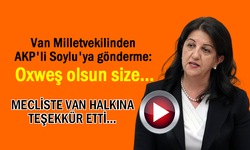 Van Milletvekilinden AKP'li Soylu'ya gönderme: Oxweş olsun size…