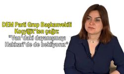 DEM Parti'den çağrı: "Van'daki dayanışmayı Hakkari'de de bekliyoruz"