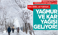 Meteoroloji Van için uyardı! Kar, fırtına ve sağanak geliyor