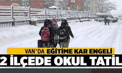Van'ın 2 ilçesinde okullar tatil edildi!