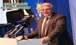 Vedat Demiröz: Cumhurbaşkanı Başdanışmanı olarak atandı