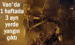 Van'da 3 farklı noktada yangın!
