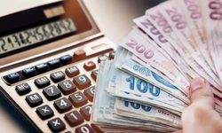 Eski TÜİK Başkanı'nda emekli ikramiyesine tepki