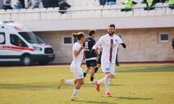 Vanspor'lu futbolcu gol krallığında zirvede!