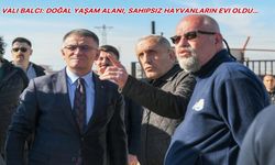 Vali Balcı, Van doğal yaşam alanında incelemede bulundu