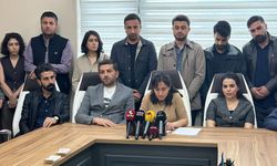 Van'daki STK'lar 9 cezaevine ilişkin rapor açıkladı