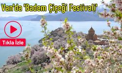 Van'da 'Badem Çiçeği Festivali' başladı! Festival 2 gün sürecek